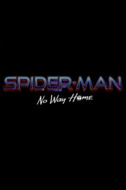 Spider-Man: Sin camino a casa
